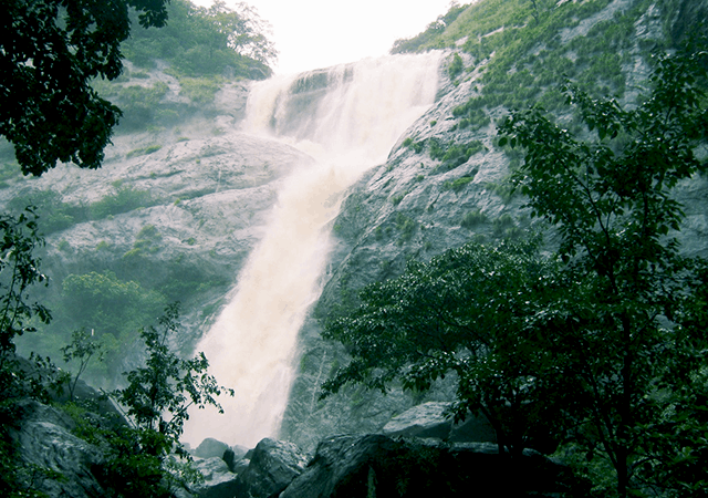 Palaruvi Waterfalls Palaruvi Waterfalls
