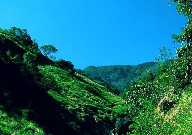 Trekkers Paradise- Vellarimala Trekkers Paradise- Vellarimala