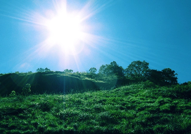 Grasslands of Vellarimala