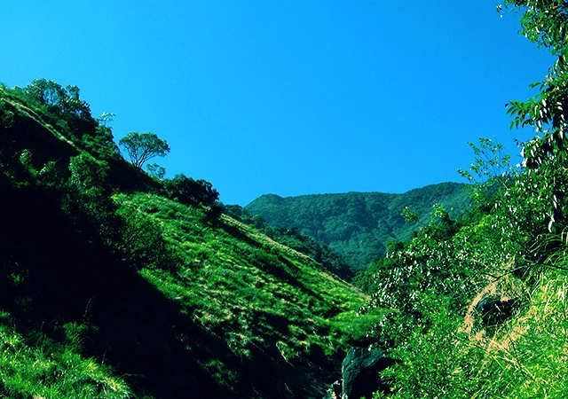 Trekkers Paradise- Vellarimala