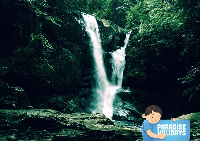 Front View of Mankayam Waterfalls