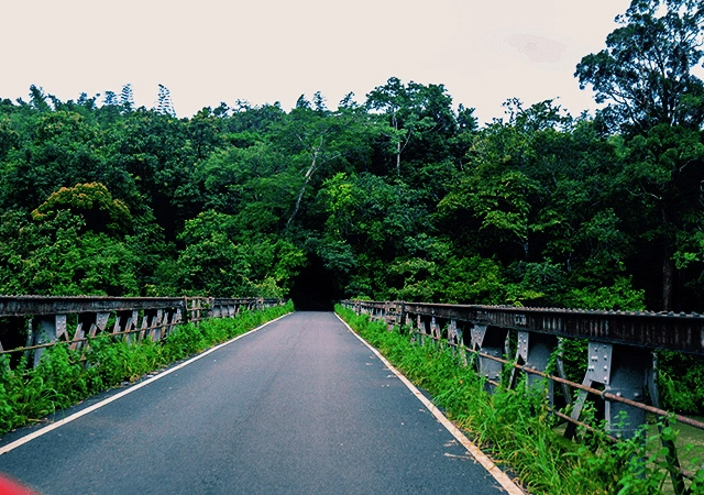 Chalakudy to Valparai