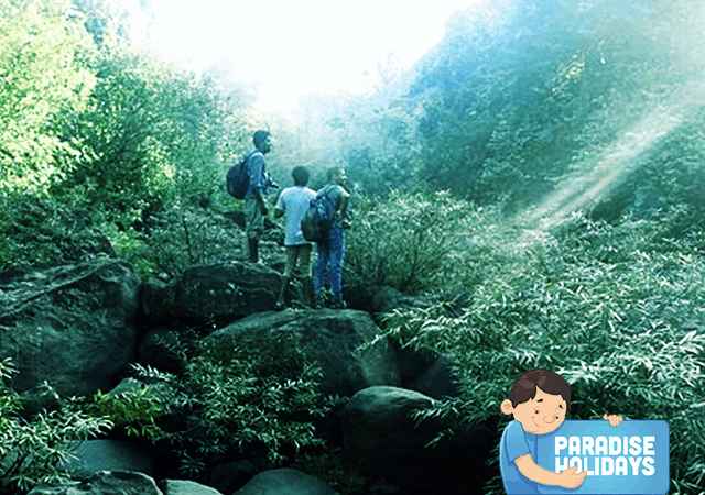 Kakkadampoyil Western Ghats Kakkadampoyil Western Ghats