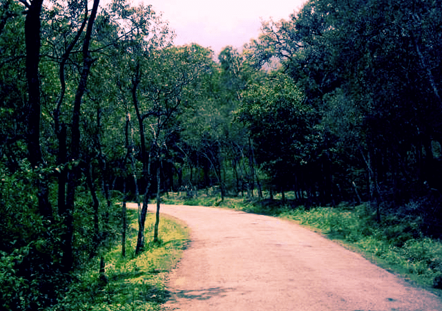 Munnar to Marayoor Munnar to Marayoor