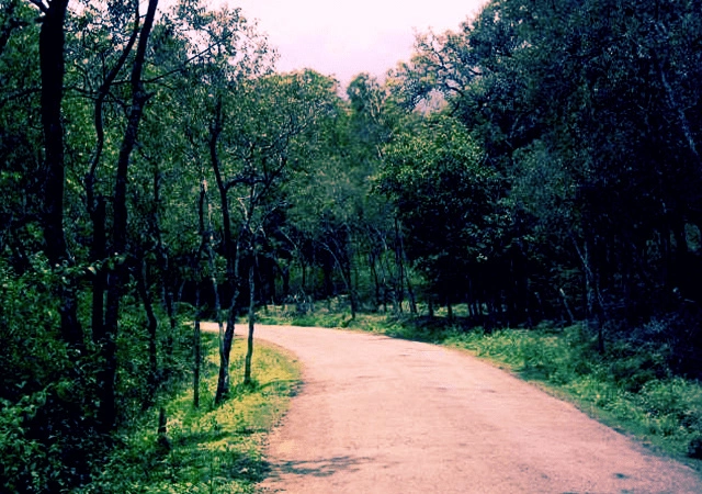 Munnar to Marayoor