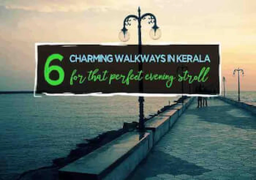 6-Charming-Walkways-in-Kerala-for-the-Perfect-Lazy-Evening-Stroll