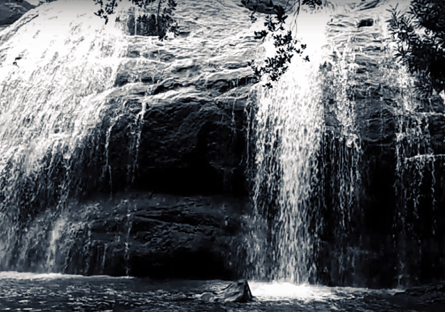 Forceless Anayadikuthu Waterfall Forceless Anayadikuthu Waterfall