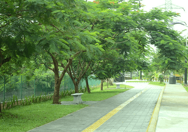 Streetscape Walkway Streetscape Walkway