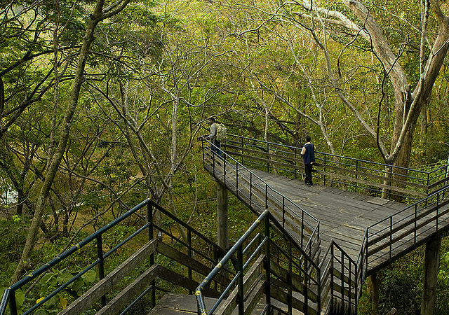 Thenmala Walkway Thenmala Walkway