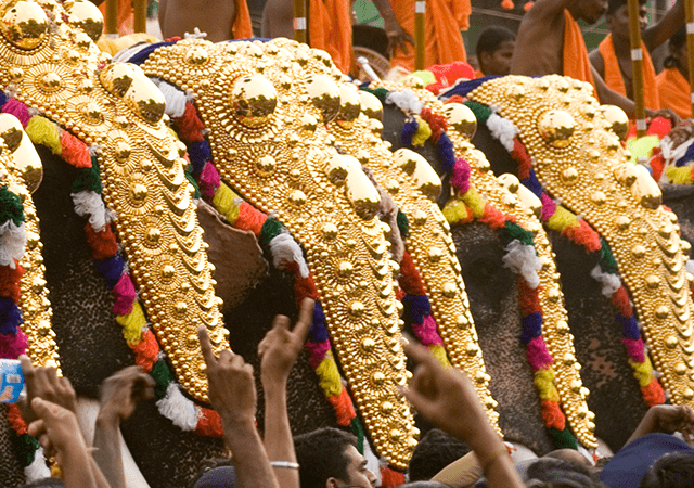Adoor Gajamela Adoor Gajamela