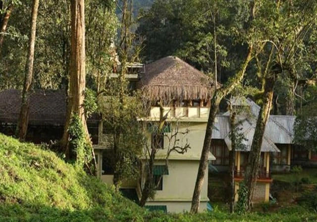 Deep Woods Munnar