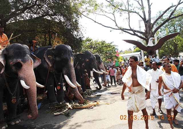 Guruvayur-Aanayottam