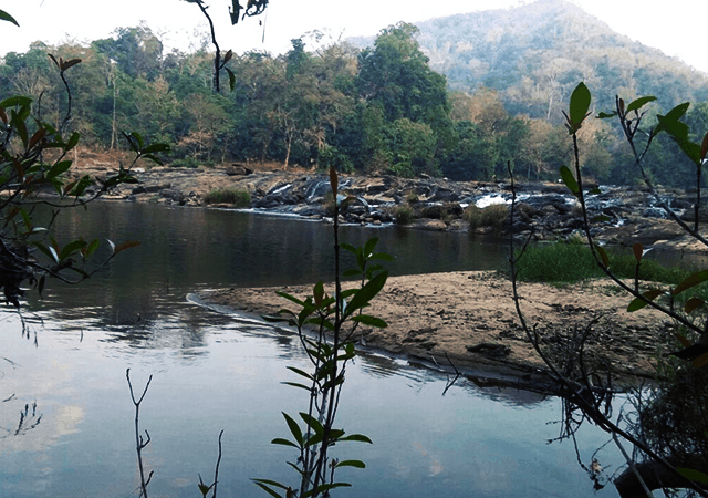 Pooyamkutty River Pooyamkutty River