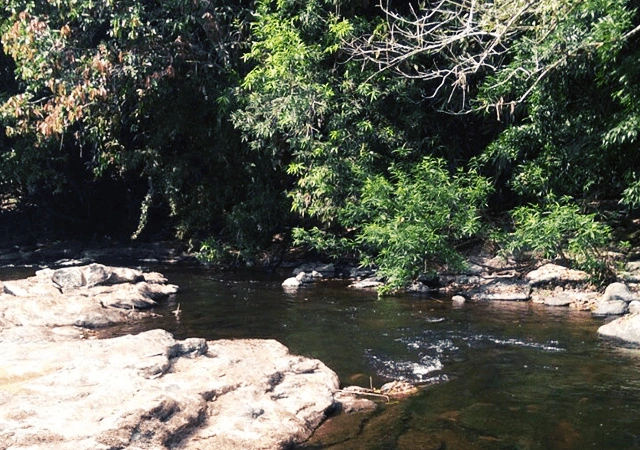 Slow Flowing Stream at Pooyamkutty
