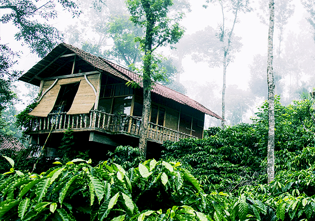 Coffee Country Resort Coffee Country Resort