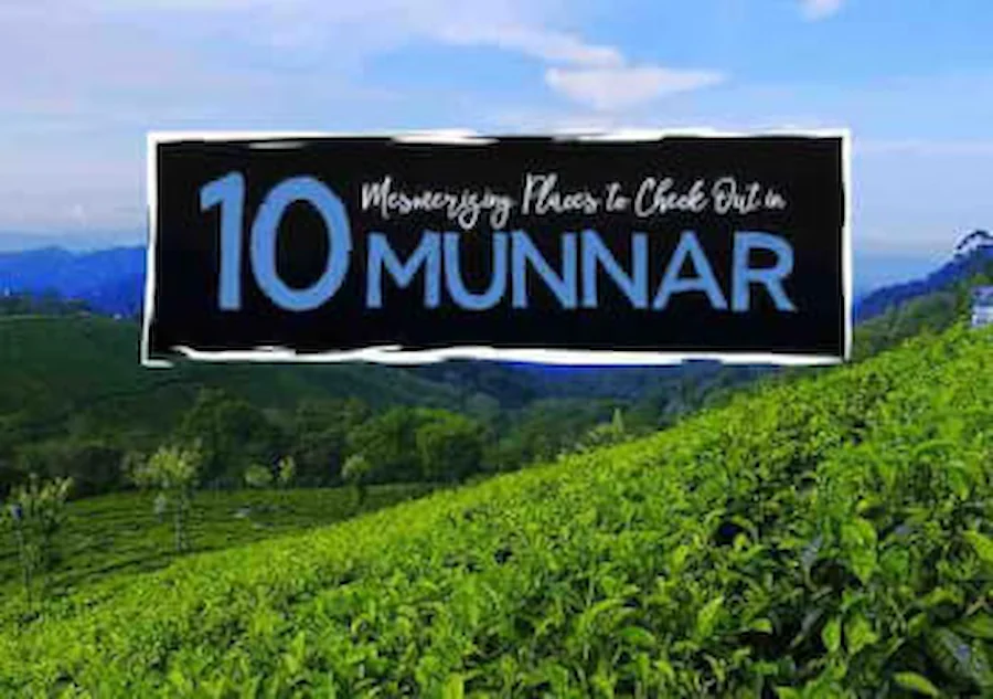 10-Mesmerizing-Places-to-Check-Out-in-Munnar-