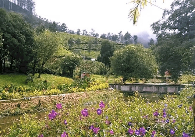 Hydel Park