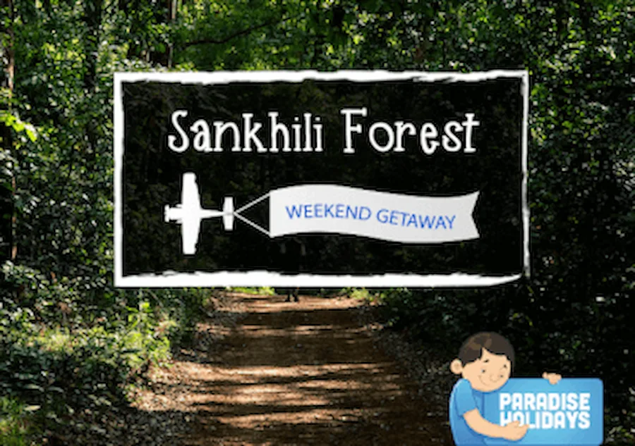 Sankhili-Forest-1