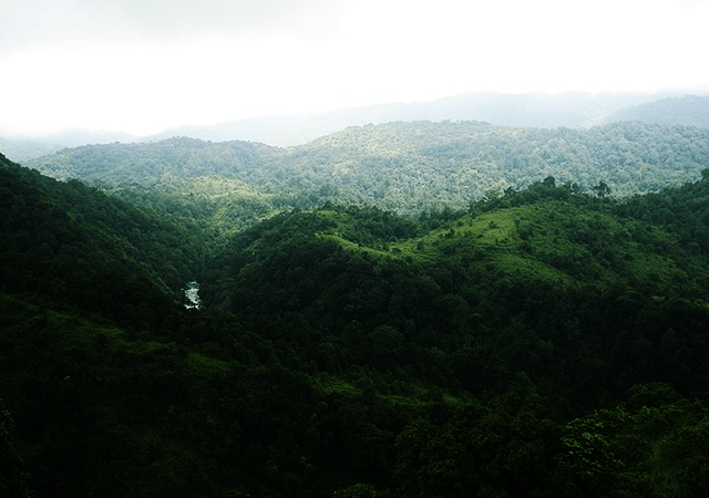 Silent Valley