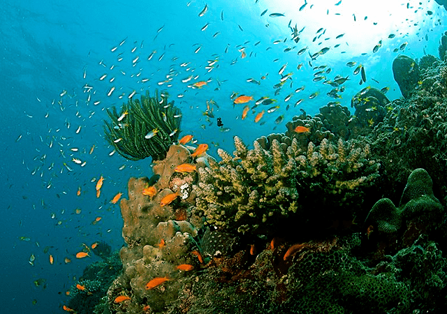 Andaman