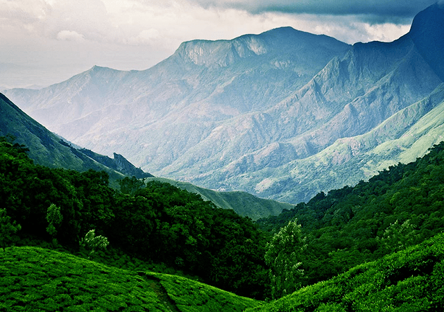 Munnar