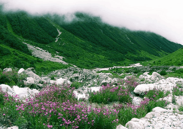 Uttrakhand