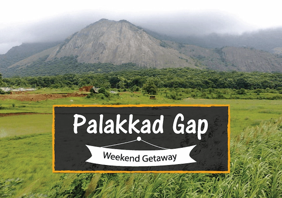 Weekend_Getaway_Palakkad_Gap