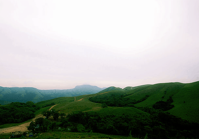 Coffee plantations in Coorg hills