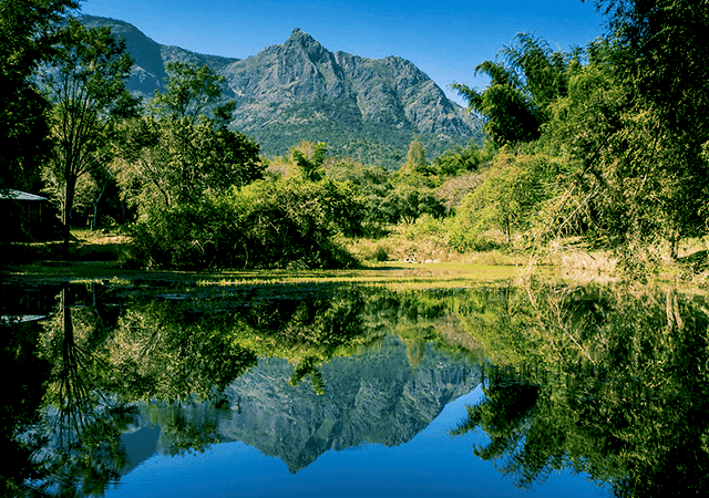 Mudumalai wildlife safari near Masinagudi