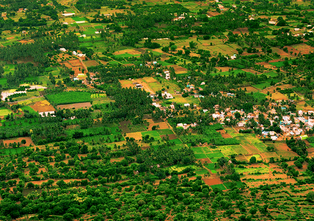 Yelagiri hills scenic view