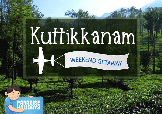 Tea plantations in Kuttikkanam
