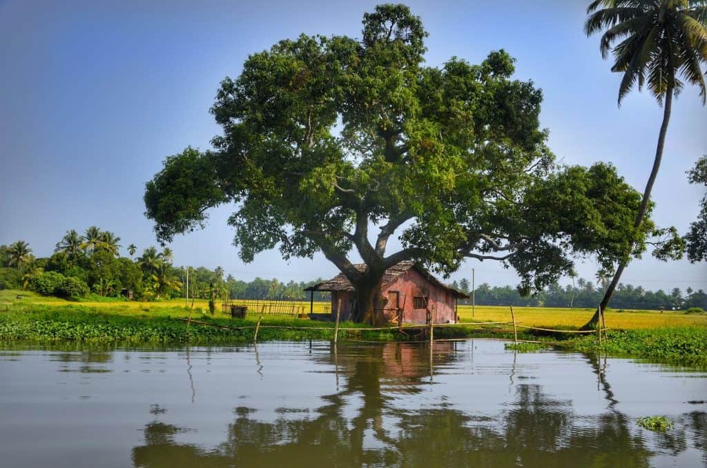 Kerala honeymoon destinations scenic view