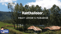 Kanthalloor—Fruit lover’s Paradise