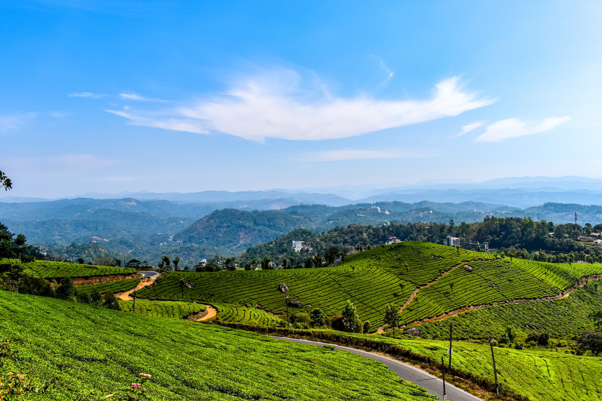 Why You Should Visit Kerala? – The Top 8 Reasons – Paradise Holidays – Blog