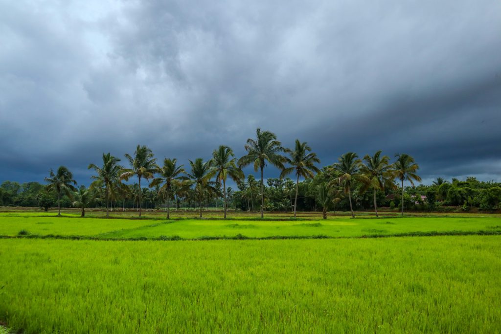 Reasons to Visit Kerala | Why you should visit kerala?