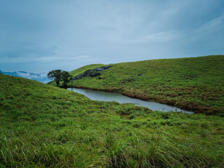 Hill stations like Munnar and Wayanad in Kerala tour packages