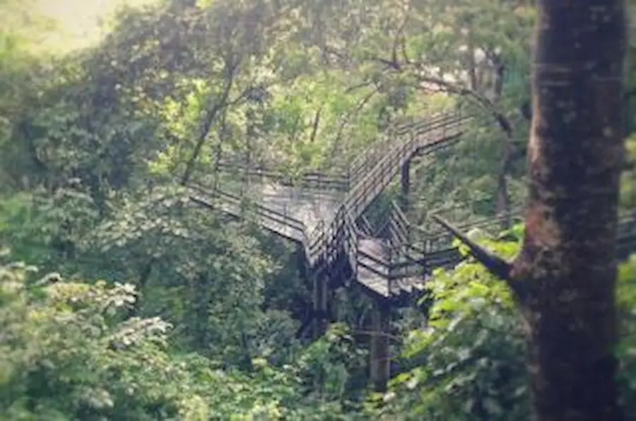 Thenmala-Header