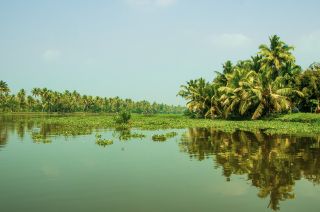 Discover the Magic of Kerala: An Unforgettable 8 Days 7 Nights Tour Package | Paradise Holidays