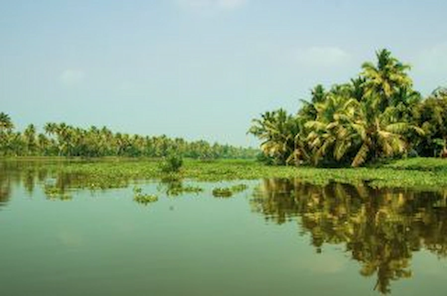 Kerala-Blog-Header