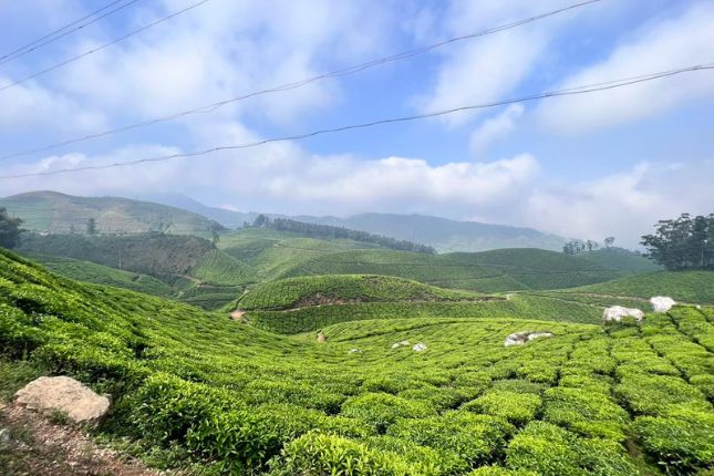 Affordable Kerala Tour Packages Below 15000 Rupees: Explore Munnar with Paradise Holidays