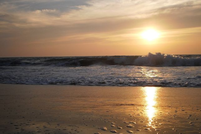 Exploring Kerala: A Comprehensive Guide to the Top 25 Kerala Tour Package Destinations | Paradise Holidays