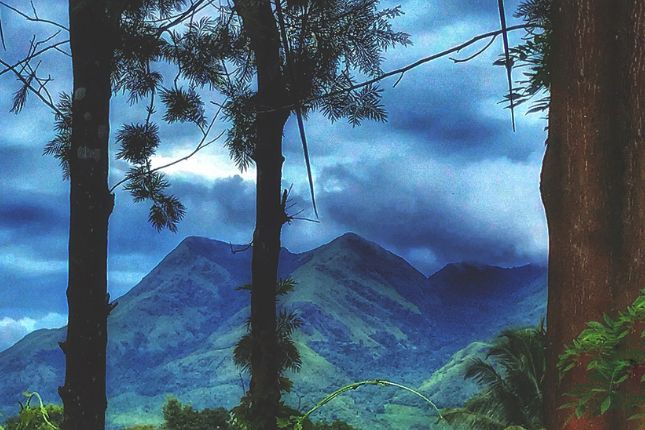 Exploring Kerala: A Comprehensive Guide to the Top 25 Kerala Tour Package Destinations | Paradise Holidays