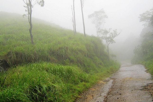 Gavi: A Nature Lover's Paradise in the Western Ghats | Kerala Tour Packages | Paradise Holidays