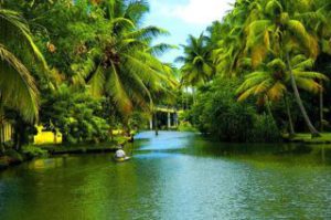 6 Days 5 Nights Kerala Tour Package: Unveiling the Natural Wonders of Athirapilly, Guruvayoor, Cochin, Munnar, and Thekkady