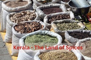 Kerala's Spice Route: Aromatic Journey through the Land of Spices | Paradise Holidays - Kerala Tour Packages