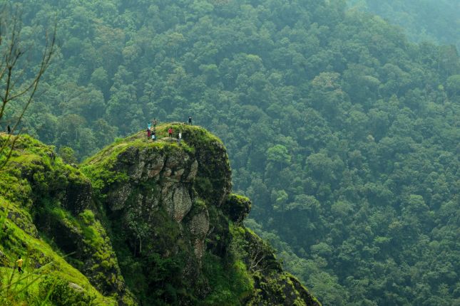 The Tranquil Hill Retreats of Idukki: Where Nature Unwinds | Kerala Tour Packages | Paradise Holidays