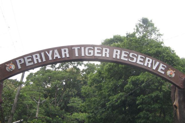Exploring the Exquisite Biodiversity of Periyar Tiger Reserve with Paradise Holidays’ Kerala Tour Packages