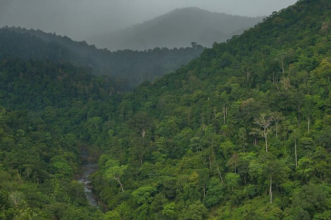 Exploring the Exquisite Biodiversity of Periyar Tiger Reserve with Paradise Holidays’ Kerala Tour Packages