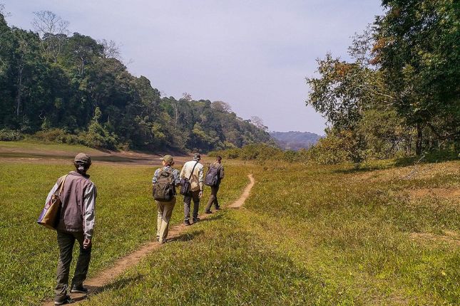Exploring the Exquisite Biodiversity of Periyar Tiger Reserve with Paradise Holidays’ Kerala Tour Packages