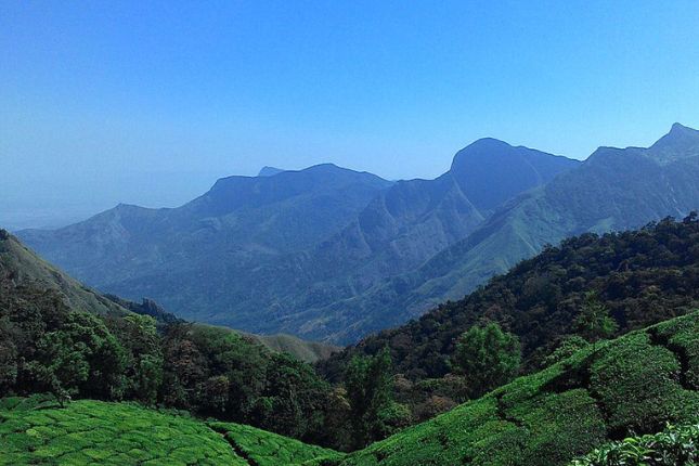 Exploring the Western Ghats: An Ecotourism Haven | Kerala Tour Packages | Paradise Holidays